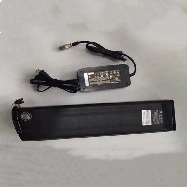 シルバー・フィッシュ リチウム電池 48V 25Ah 長さ 630mm 充電器付き