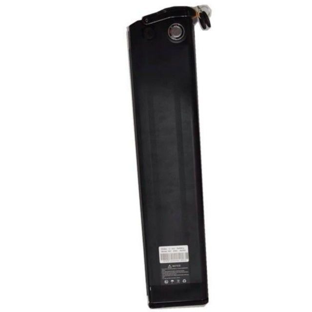 シルバー・フィッシュ リチウム電池 48V 25Ah 長さ 630mm 充電器付き