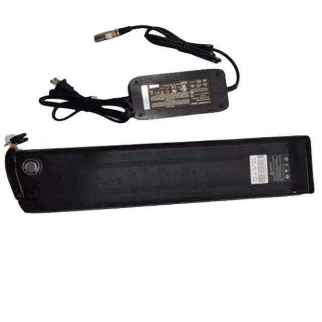 シルバー・フィッシュ リチウム電池 48V 25Ah 長さ 630mm 充電器付き